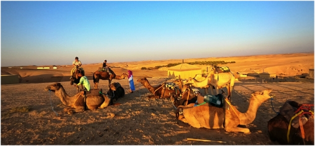 Day Trip from Marrakech