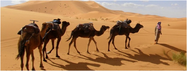 3-Day Chegaga Desert Tour from Marrakech 3-Day Chegaga Desert Tour from Marrakech