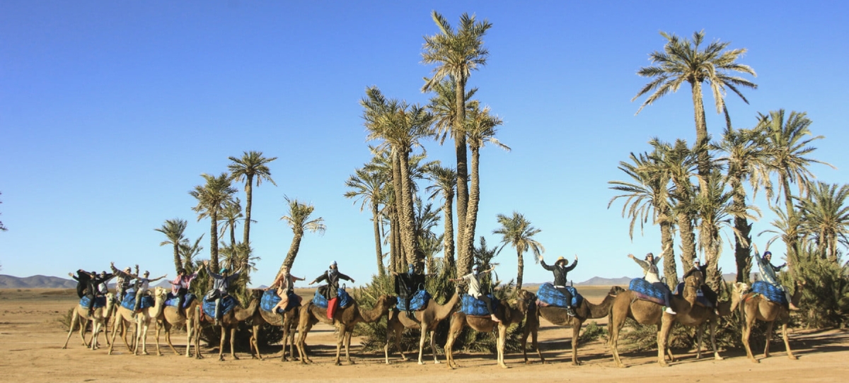 Marrakech Camel Ride